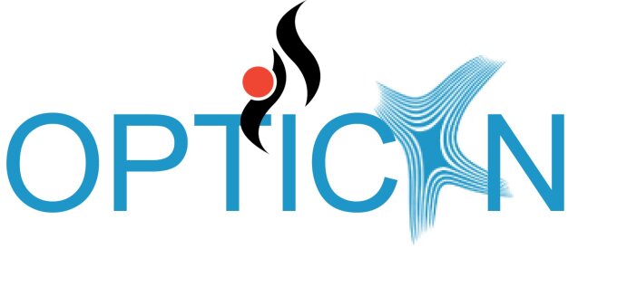 Logo Project OPTICON